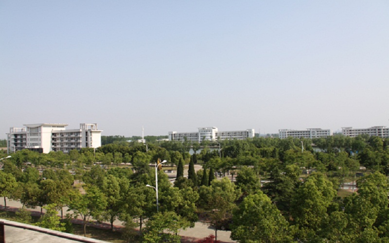 六安職業(yè)技術(shù)學(xué)院學(xué)前教育專業(yè)在河北招生錄取分?jǐn)?shù)(歷史類)：369分