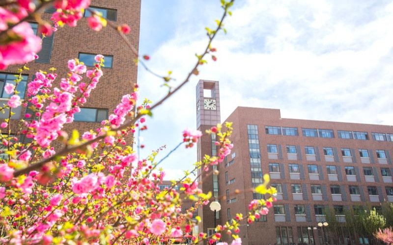山東綜合考生排多少名可以上天津商業(yè)大學(xué)英語（應(yīng)用翻譯方向）專業(yè)?
