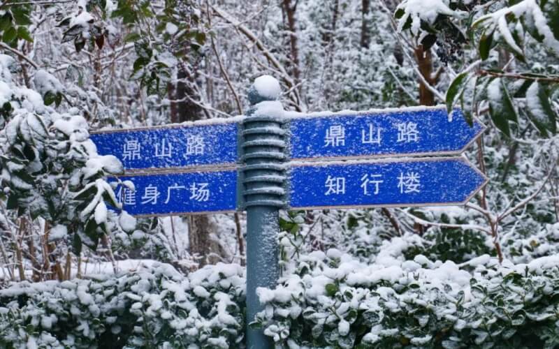 山東政法學(xué)院政治學(xué)與行政學(xué)（法治政務(wù)方向）專業(yè)在山東招生錄取分數(shù)(綜合)：510分