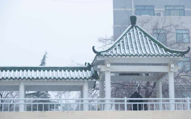 【2023高考參考】山東政法學(xué)院2022年黑龍江招生專業(yè)及招生計劃一覽表