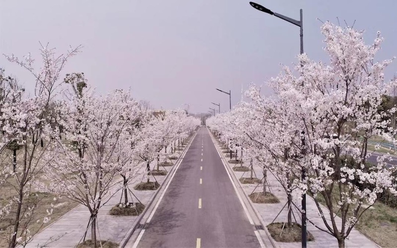 2024年泰州職業(yè)技術(shù)學(xué)院藥物制劑技術(shù)專(zhuān)業(yè)在內(nèi)蒙古錄取分?jǐn)?shù)線參考