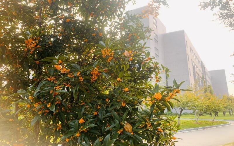遼寧物理類考生排多少名可以上河海大學工程力學專業(yè)?