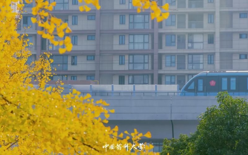 2023年內(nèi)蒙古考生多少分可以上中國藥科大學少數(shù)民族預科班（中藥學類）專業(yè)？