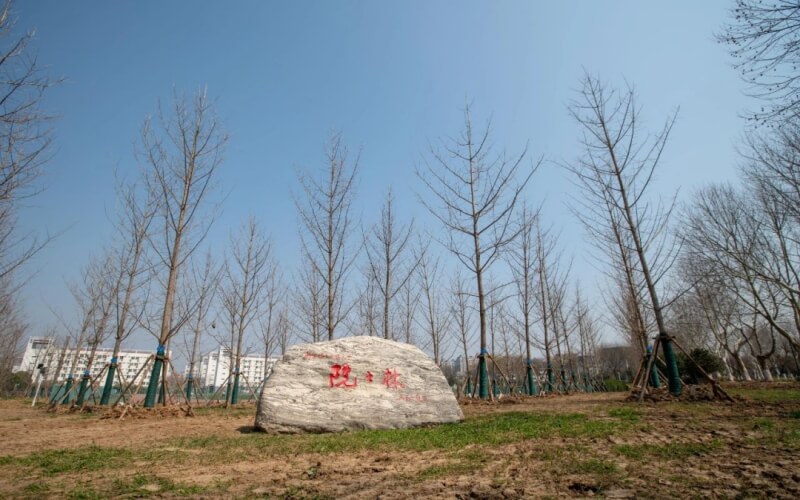 2023年河北考生多少分可以上南京信息工程大學國際經濟與貿易（中外合作辦學）專業(yè)？