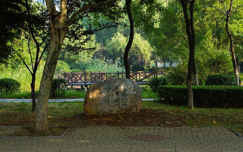 江蘇師范大學(xué)工業(yè)設(shè)計(jì)（中外合作辦學(xué)）專業(yè)錄取分?jǐn)?shù)線【遼寧高考物理類】