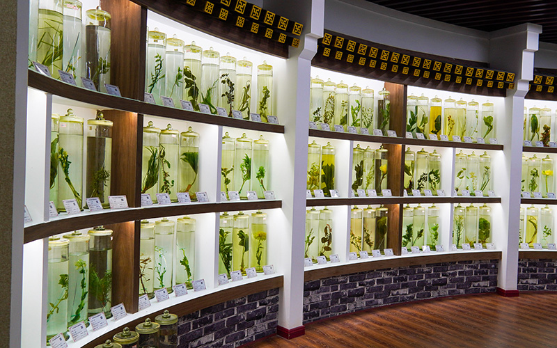 河北物理類考生排多少名可以上眉山藥科職業(yè)學(xué)院護(hù)理專業(yè)?