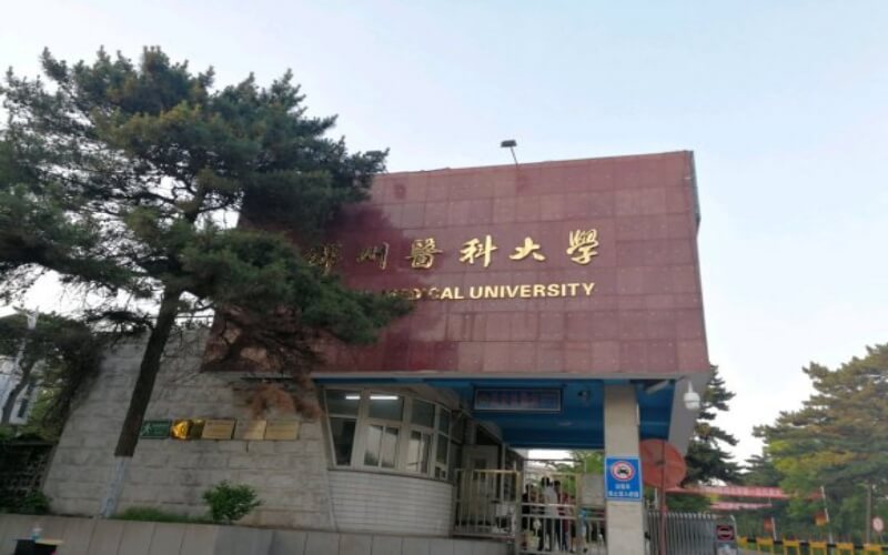 錦州醫(yī)科大學(xué)醫(yī)學(xué)影像學(xué)專業(yè)錄取分?jǐn)?shù)線【河北高考物理類】