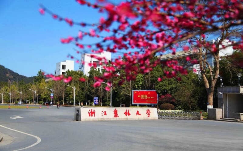 浙江農(nóng)林大學農(nóng)學專業(yè)錄取分數(shù)線【河北高考物理類】
