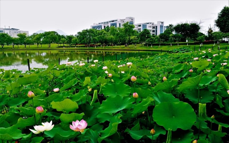 【2023高考參考】溫州大學(xué)2022年湖北招生專業(yè)及招生計劃一覽表