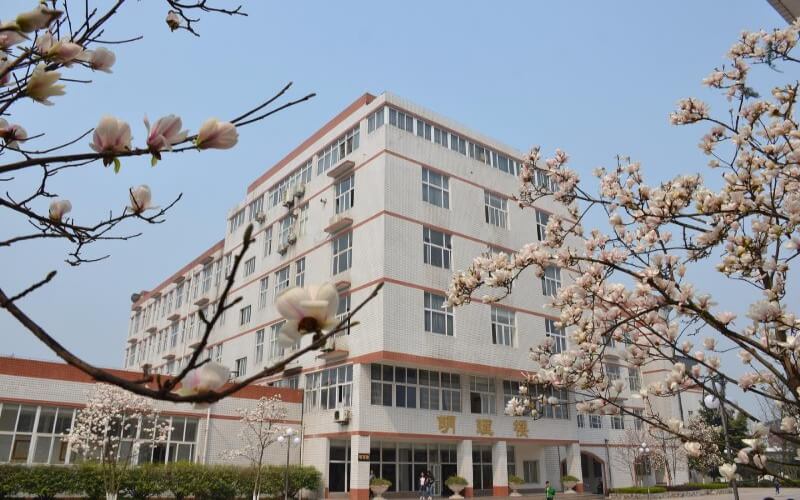 浙江綜合考生排多少名可以上西南醫(yī)科大學(xué)基礎(chǔ)醫(yī)學(xué)專業(yè)?