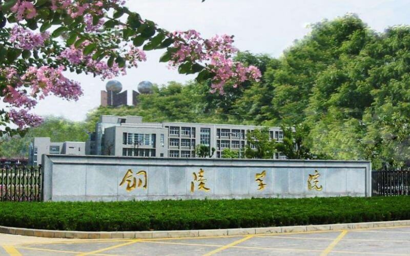 2024考生參考：2023銅陵學(xué)院自動化專業(yè)在山東招生錄取分?jǐn)?shù)及錄取位次