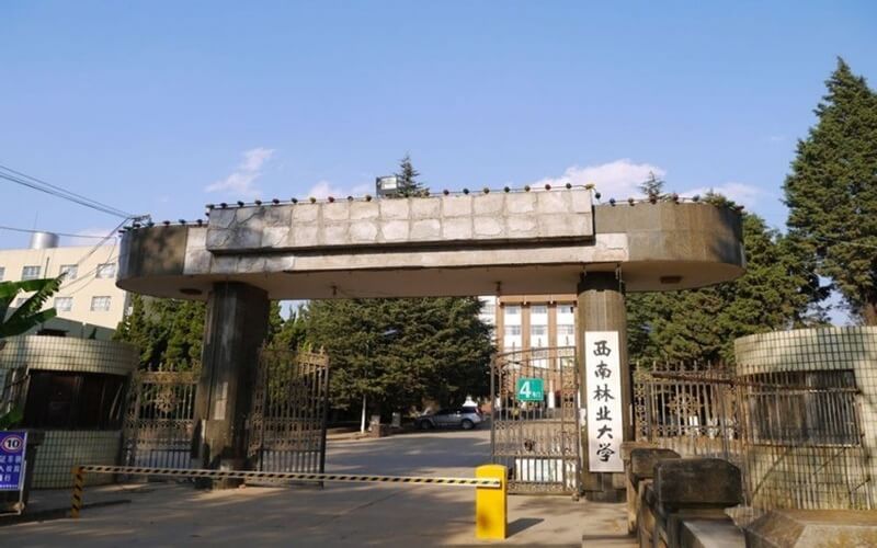 西南林業(yè)大學(xué)商務(wù)英語專業(yè)錄取分?jǐn)?shù)線【新疆高考文科】