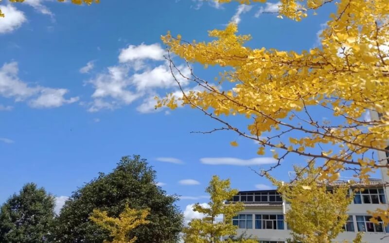 山東綜合考生排多少名可以上大理大學(xué)環(huán)境科學(xué)專業(yè)?