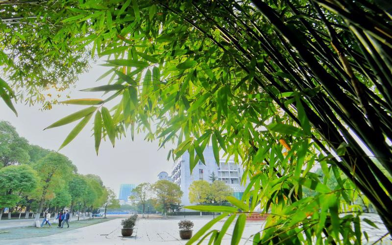 2023年重慶考生多少分可以上武漢警官職業(yè)學(xué)院現(xiàn)代移動(dòng)通信技術(shù)專業(yè)？