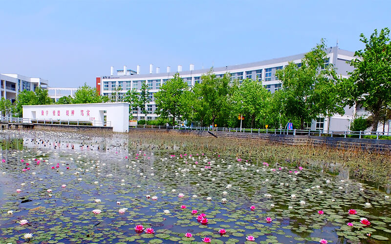 周口職業(yè)技術(shù)學(xué)院小學(xué)語文教育（師范類）專業(yè)（一 ）錄取分?jǐn)?shù)線【云南高考文科】