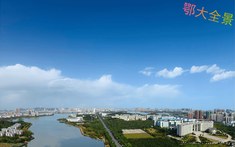 鄂州職業(yè)大學(xué)小學(xué)英語教育（師范）專業(yè)在浙江招生錄取分?jǐn)?shù)(綜合)：497分