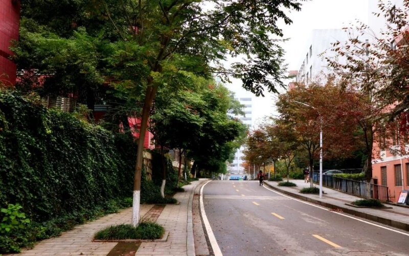 2024考生參考：2023中南林業(yè)科技大學化學工程與工藝專業(yè)在內(nèi)蒙古招生錄取分數(shù)及錄取位次