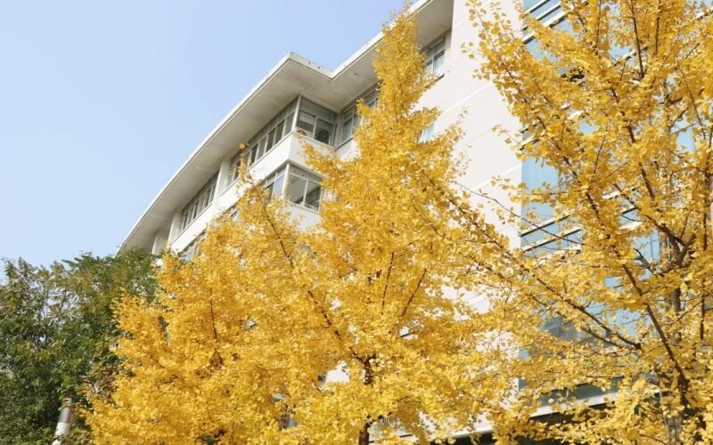 2023年中南林業(yè)科技大學(xué)在黑龍江招生專業(yè)有哪些？學(xué)費(fèi)是多少？