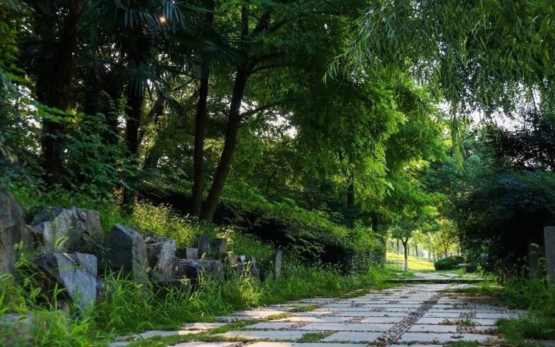 中南財(cái)經(jīng)政法大學(xué)漢語言文學(xué)專業(yè)錄取分?jǐn)?shù)線【重慶高考?xì)v史類】