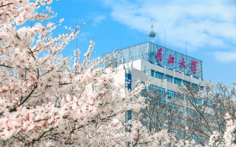 2023年山東考生多少分可以上長江大學(xué)電子信息類專業(yè)？