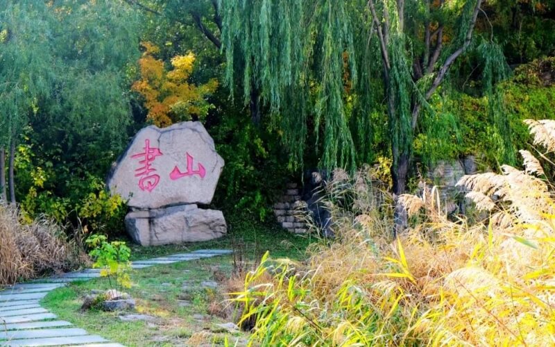 齊齊哈爾醫(yī)學院應用心理學專業(yè)錄取分數線【遼寧高考歷史類】