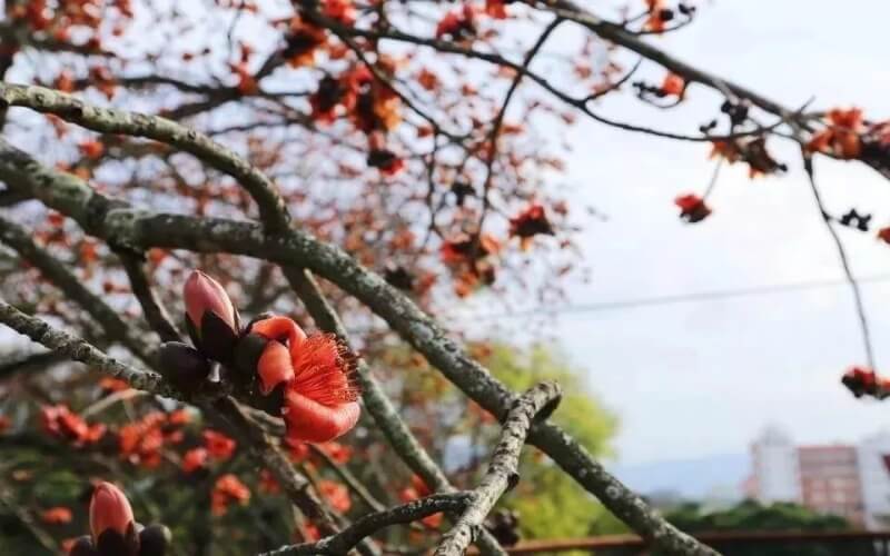 閩南師范大學(xué)物理學(xué)專業(yè)錄取分?jǐn)?shù)線【河北高考物理類】
