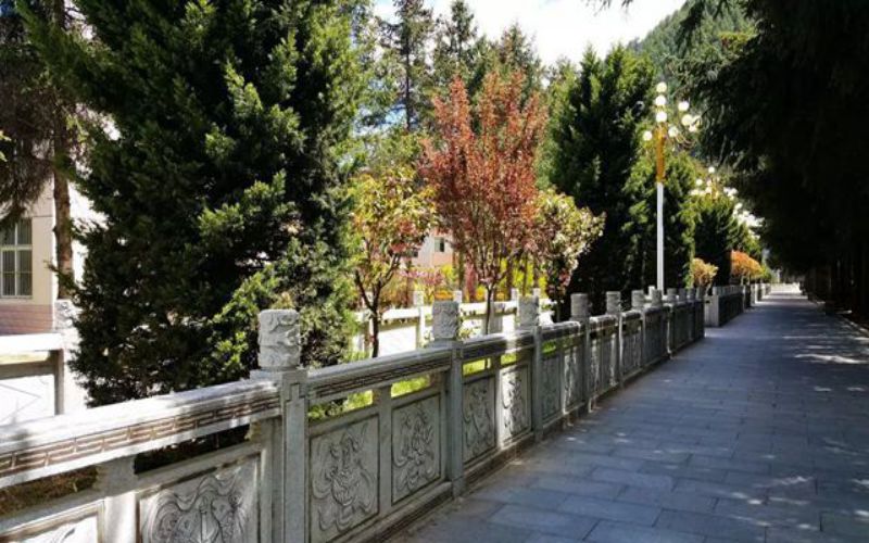 山東綜合考生排多少名可以上西藏農(nóng)牧學(xué)院農(nóng)業(yè)資源與環(huán)境專(zhuān)業(yè)?