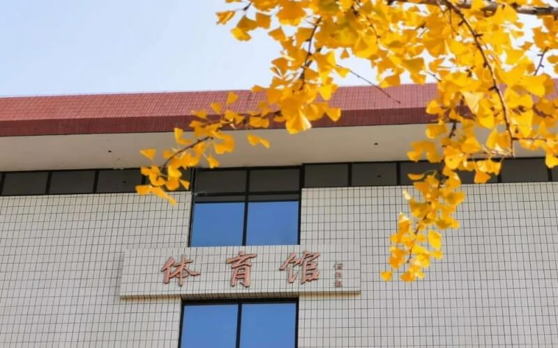 浙江綜合考生排多少名可以上西北師范大學(xué)翻譯專業(yè)?