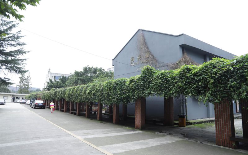四川電影電視學(xué)院空中乘務(wù)專業(yè)錄取分?jǐn)?shù)線【河北高考物理類】