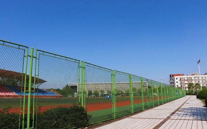 【2024重慶歷史類參考】2023年成都師范學院各專業(yè)在重慶招生分數(shù)線匯總