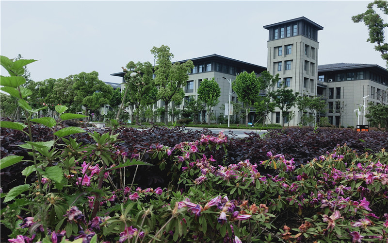 南京師范大學(xué)中北學(xué)院電子信息工程專業(yè)在山東招生錄取分?jǐn)?shù)(綜合)：469分