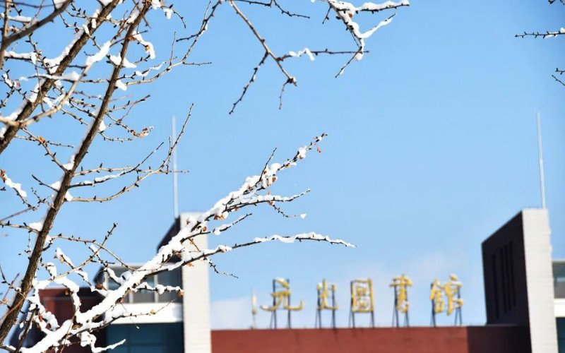 河北石油職業(yè)技術(shù)大學(xué)應(yīng)用電子技術(shù)（中外合作辦學(xué)）專業(yè)錄取分?jǐn)?shù)線【天津高考綜合】
