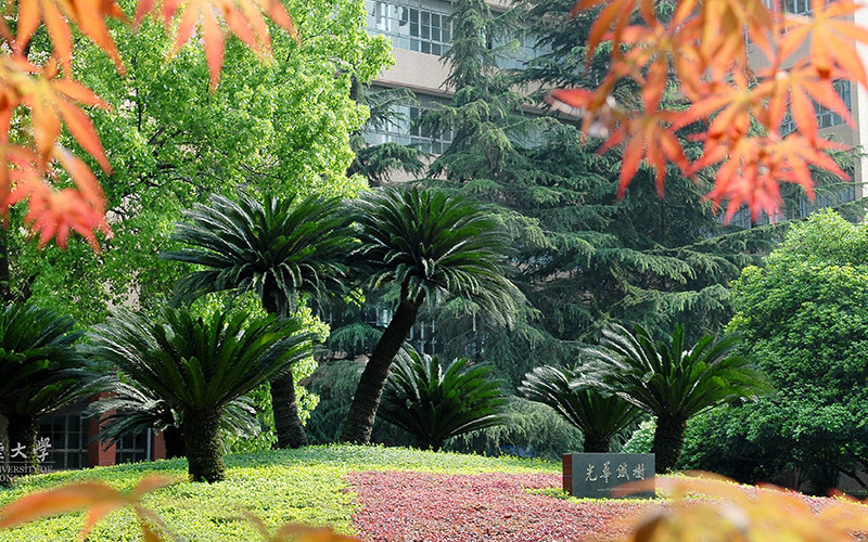 西南財經(jīng)大學(xué)特拉華數(shù)據(jù)科學(xué)學(xué)院物流管理（中外合作辦學(xué)）專業(yè)（一 ）錄取分?jǐn)?shù)線【江蘇高考?xì)v史類】