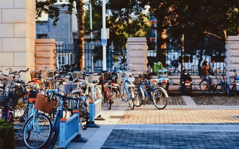 2023年北京語言大學(xué)在湖北招生專業(yè)有哪些？學(xué)費(fèi)是多少？
