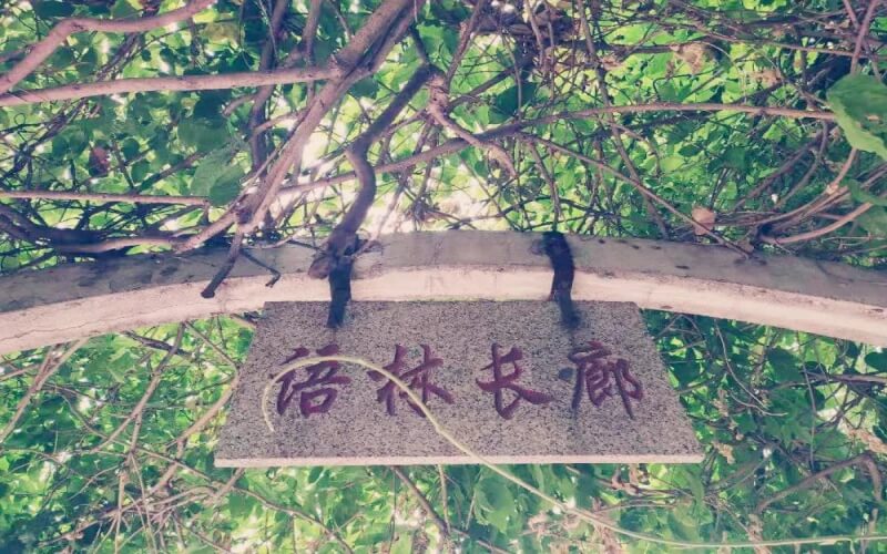 2023年唐山學院在河南錄取批次及錄取分數(shù)參考