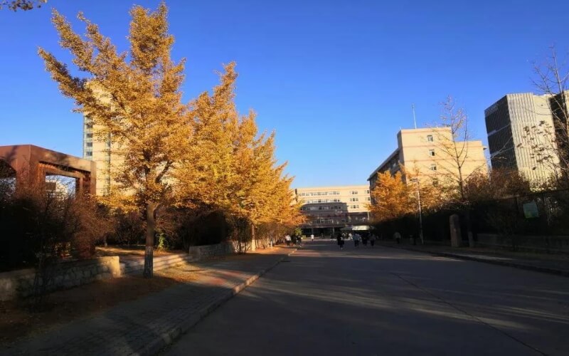 2023年唐山師范學(xué)院在吉林招生專業(yè)及招生人數(shù)匯總(2024考生參考)
