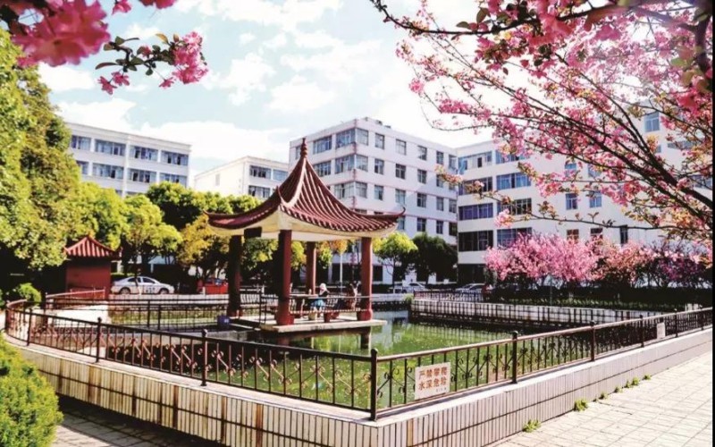 云南醫(yī)藥健康職業(yè)學院針灸推拿專業(yè)在河北招生錄取分數(shù)(物理類)：337分