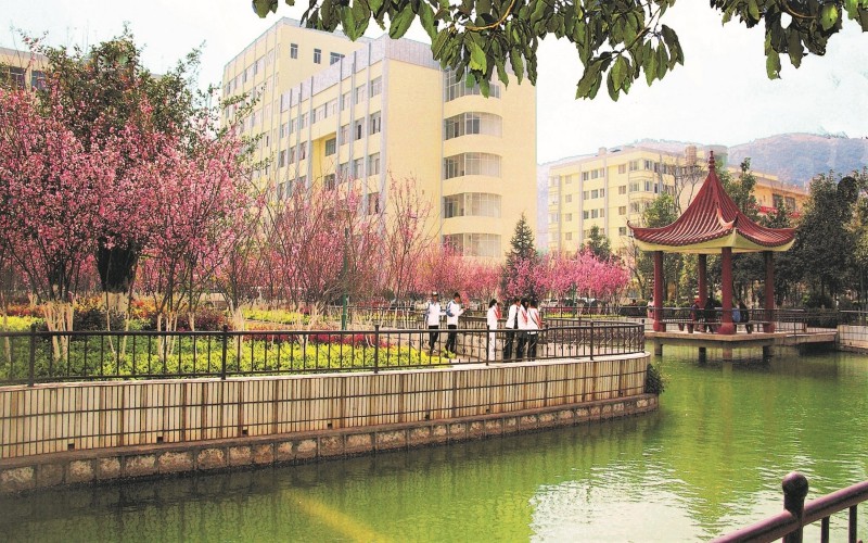 云南醫(yī)藥健康職業(yè)學(xué)院康復(fù)治療技術(shù)專業(yè)錄取分數(shù)線【河北高考歷史類】