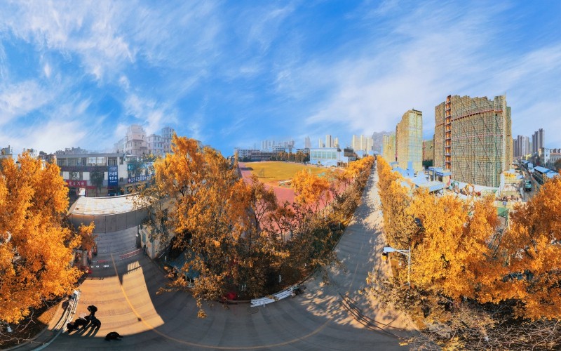 云南醫(yī)藥健康職業(yè)學(xué)院針灸推拿專業(yè)在浙江招生錄取分?jǐn)?shù)(綜合)：483分