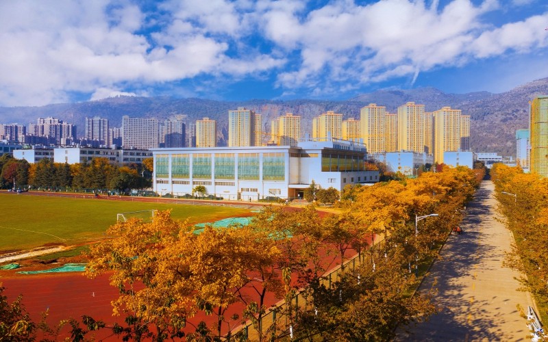 2023年云南醫(yī)藥健康職業(yè)學(xué)院在山東招生專業(yè)及招生人數(shù)匯總