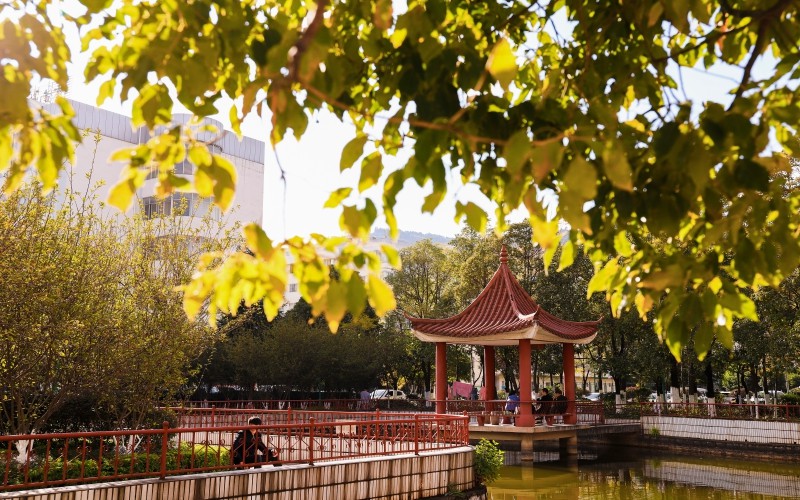 2023年云南醫(yī)藥健康職業(yè)學(xué)院在吉林招生專業(yè)有哪些？學(xué)費是多少？