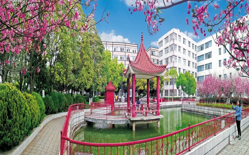 云南醫(yī)藥健康職業(yè)學院醫(yī)學檢驗技術專業(yè)在山東招生錄取分數(shù)(綜合)：309分