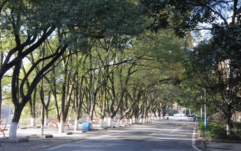 2023年江西冶金職業(yè)技術(shù)學(xué)院在甘肅招生專業(yè)及招生人數(shù)匯總