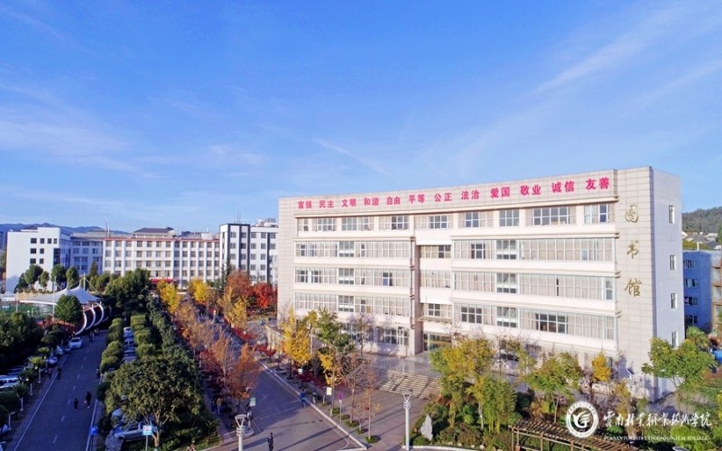 云南林業(yè)職業(yè)技術(shù)學(xué)院大數(shù)據(jù)與財(cái)務(wù)管理專業(yè)在山東招生錄取分?jǐn)?shù)(綜合)：412分