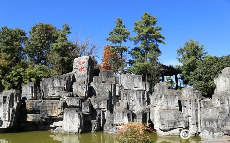 云南林業(yè)職業(yè)技術(shù)學(xué)院工程造價(jià)專業(yè)在河北招生錄取分?jǐn)?shù)(物理類)：398分