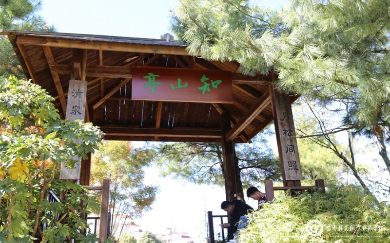 云南林業(yè)職業(yè)技術(shù)學(xué)院工程造價(jià)專業(yè)在河北招生錄取分?jǐn)?shù)(歷史類)：344分