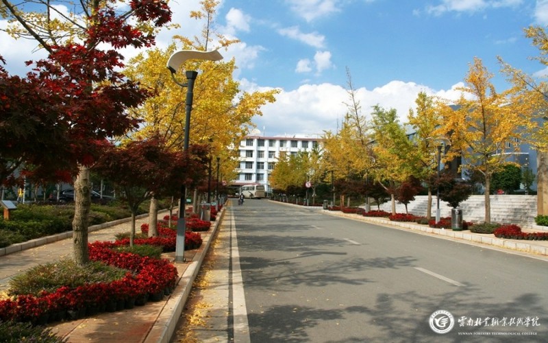 2023年云南林業(yè)職業(yè)技術(shù)學院在湖北錄取批次及錄取分數(shù)參考