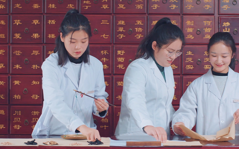多少分可以上河南應(yīng)用技術(shù)職業(yè)學(xué)院？河南應(yīng)用技術(shù)職業(yè)學(xué)院2022年在陜西各招生專業(yè)錄取分?jǐn)?shù)匯總