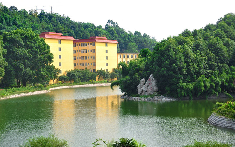 成都理工大學(xué)工程技術(shù)學(xué)院會計學(xué)專業(yè)錄取分數(shù)線【河北高考物理類】