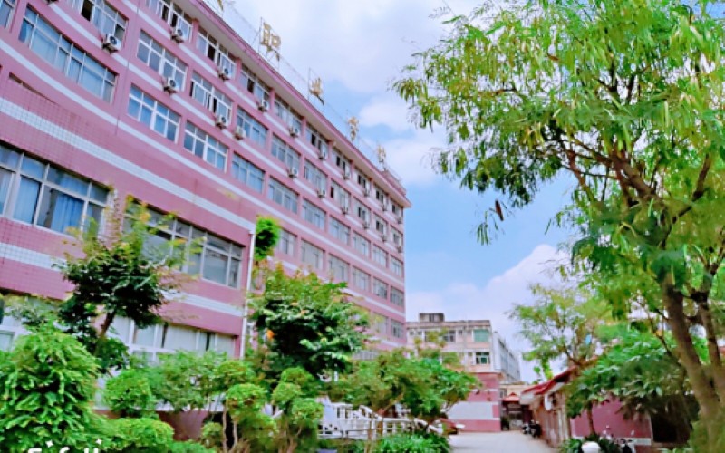 福州科技職業(yè)技術(shù)學(xué)院大數(shù)據(jù)與會(huì)計(jì)專業(yè)錄取分?jǐn)?shù)線【福建高考物理類】